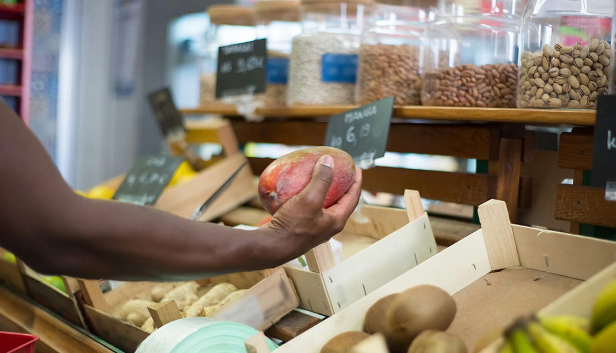 A agroecologia contribui para a conservação do solo e da água