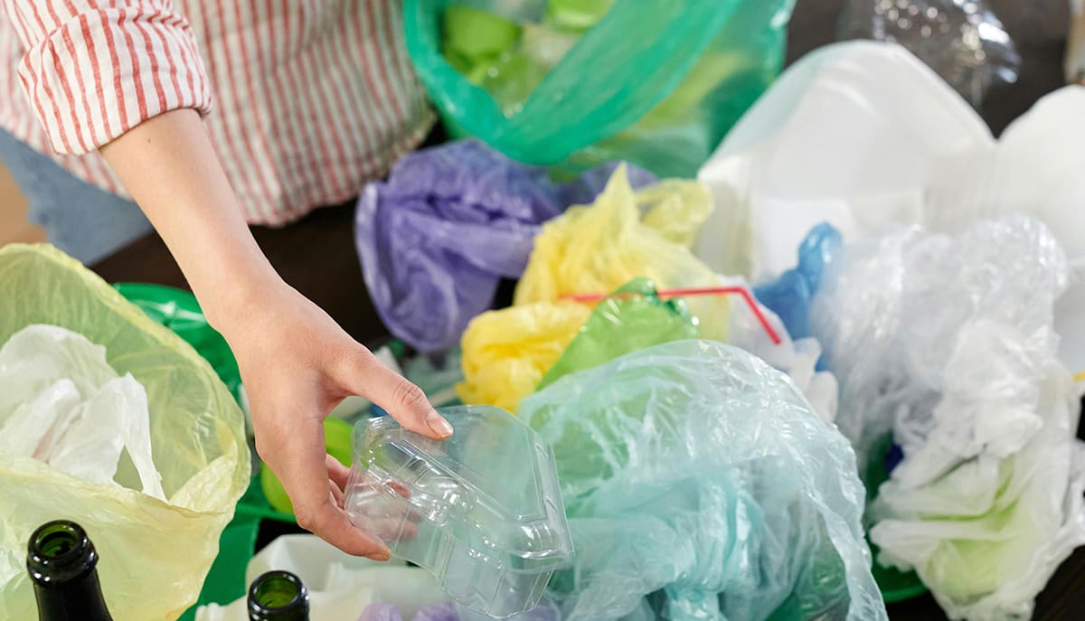 Pesquisadores da Unicamp criam aerogel de batata-doce leve e resistente para aplicações industriais sustentáveis