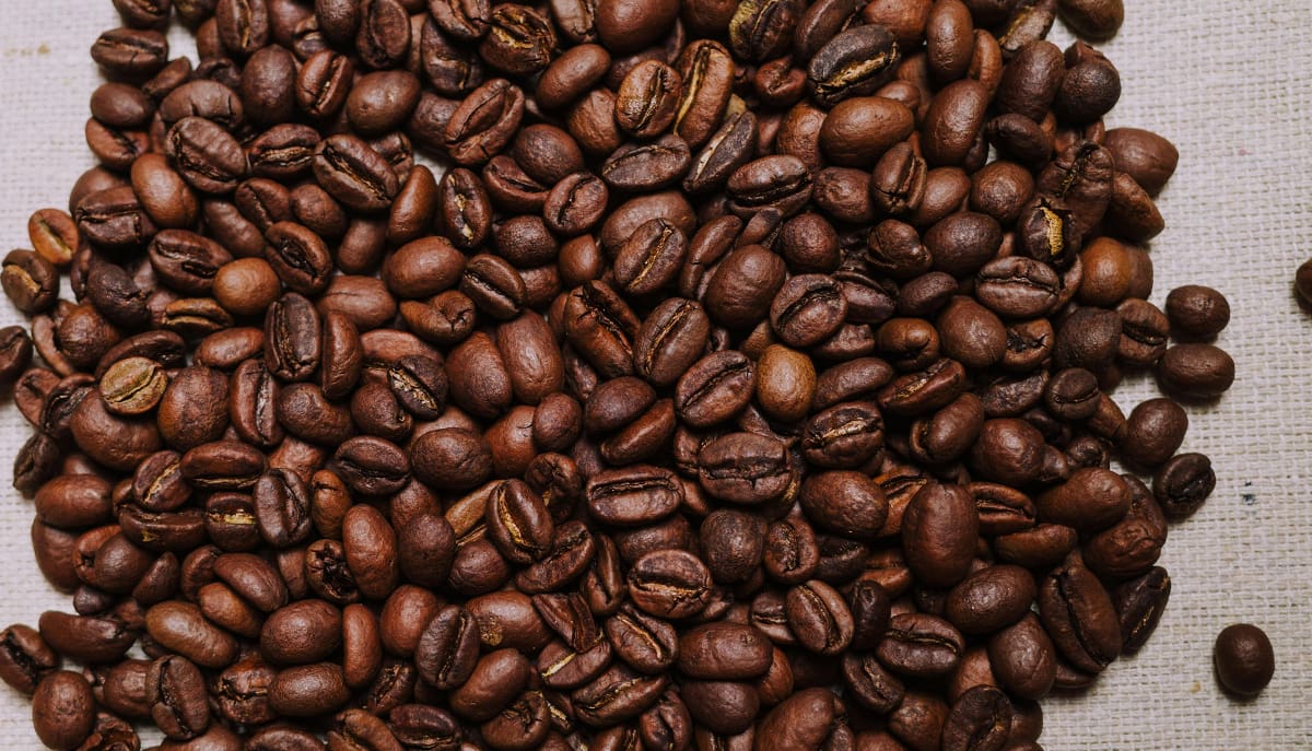 Pesquisadores da USP criam dispositivo que analisa café por meio de sensores de luz e inteligência artificial