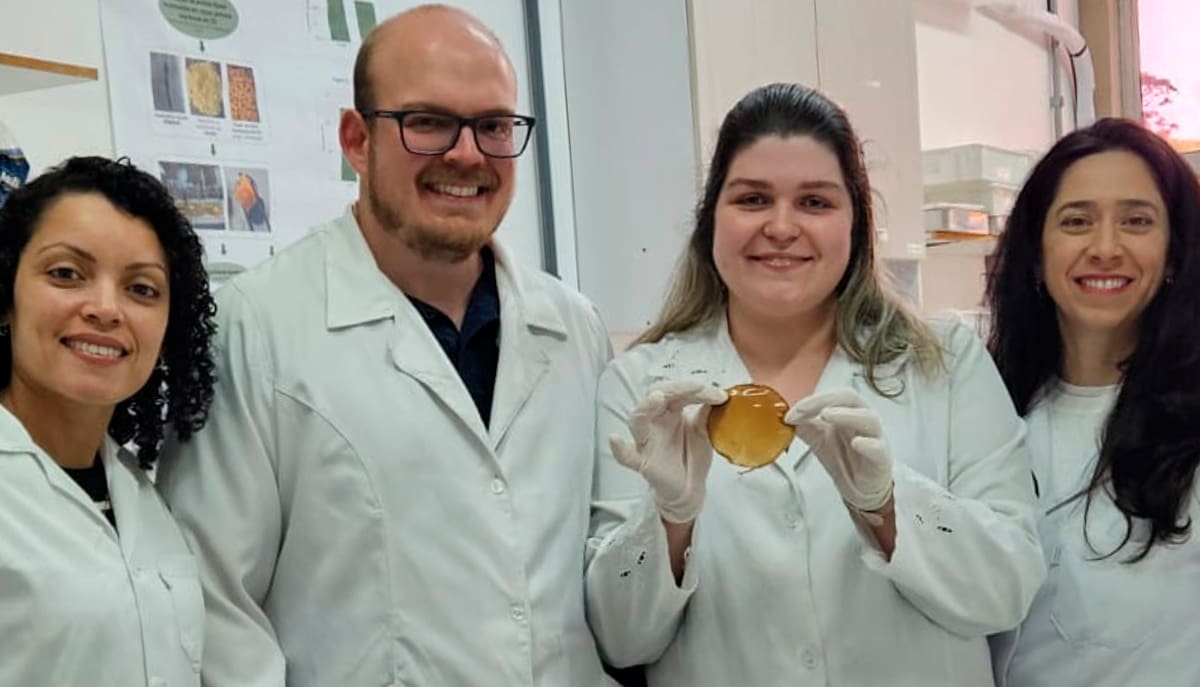 Pesquisadores desenvolvem filmes biodegradáveis inovadores usando resíduos agroindustriais como matéria-prima