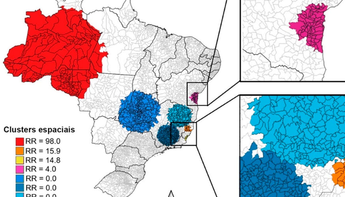 A febre oropouche tem se espalhado rapidamente nas regiões Norte e litoral brasileiro