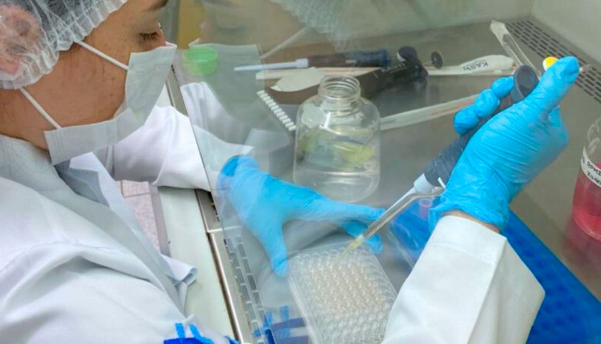 A periodontite causa inflamação severa nas gengivas e perda óssea alveolar